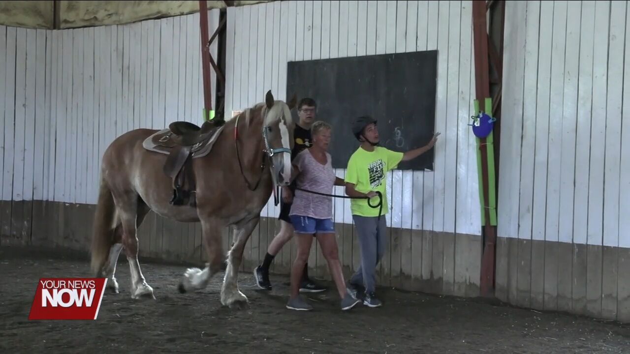Horses and volunteers at Challenged Champions provide hope and smiles to those in need